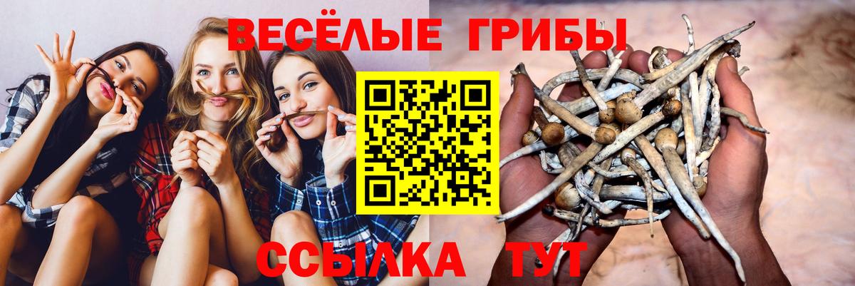 Галлюциногенные грибы мицелий  Вход с VPN  Анапа 