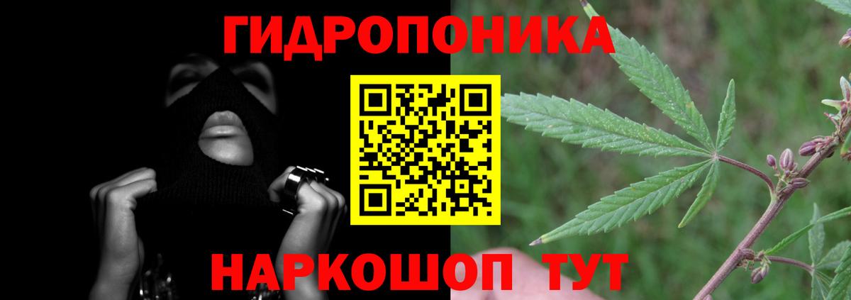 Шишки марихуана Ganja Анапа